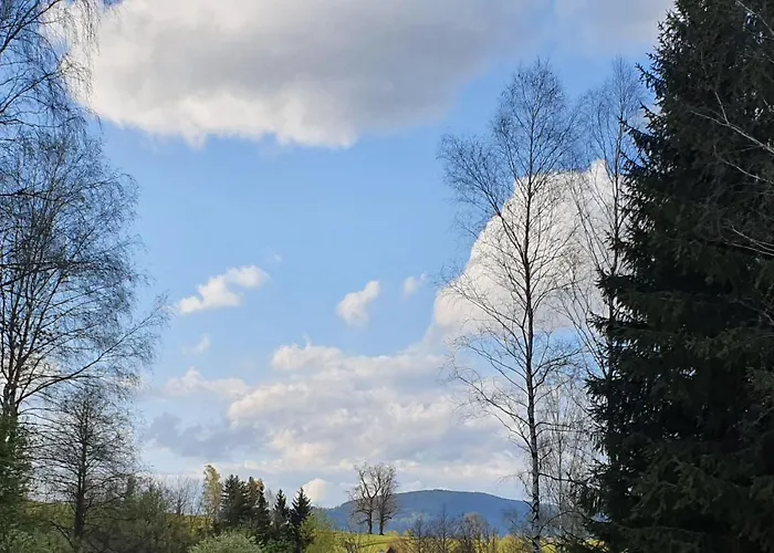 Lägenhet 